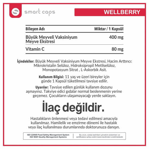 Smart Caps Wellberry Cranberry 30 Kapsül