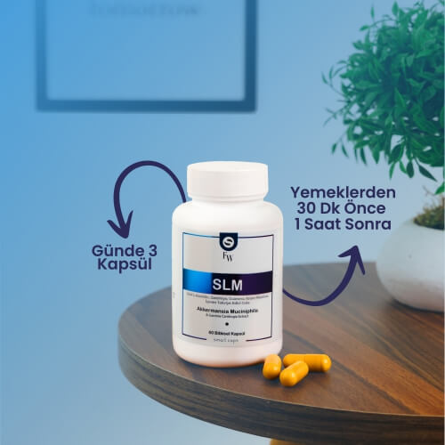 Smart Caps SLM Akkermansia Muciniphila & Garcinia Cambogia Extract 60 Kapsül