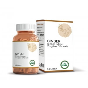 Anti Zencefil Ekstresi 60 Kapsül